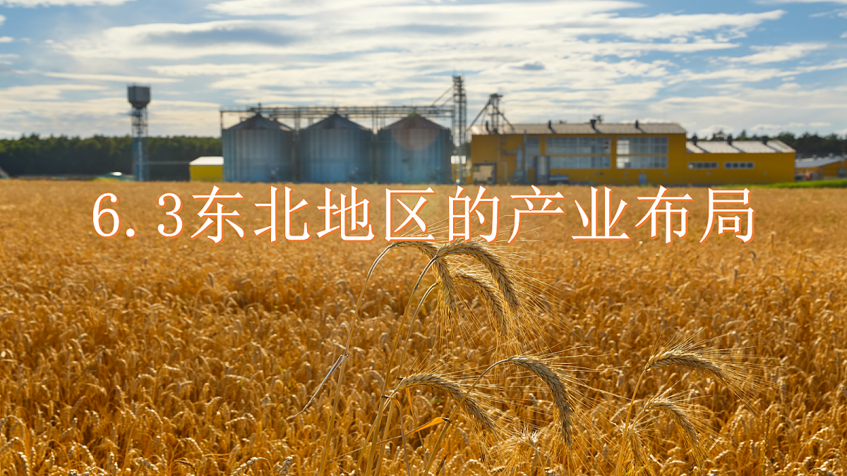 17998967第1页