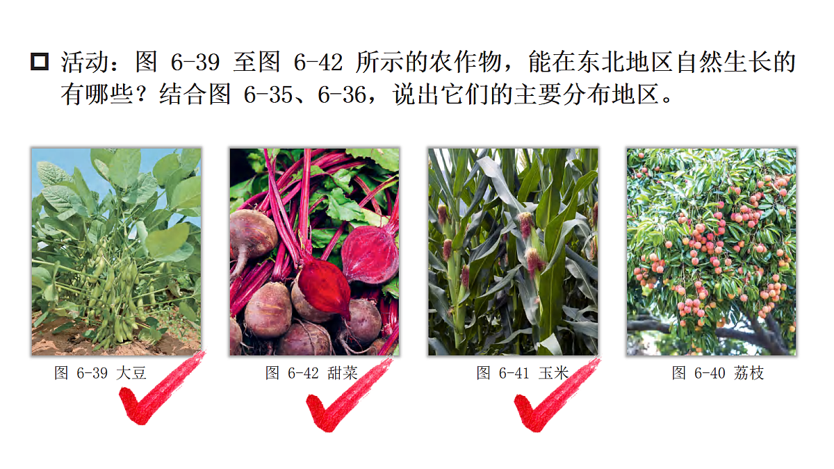17998967第8页