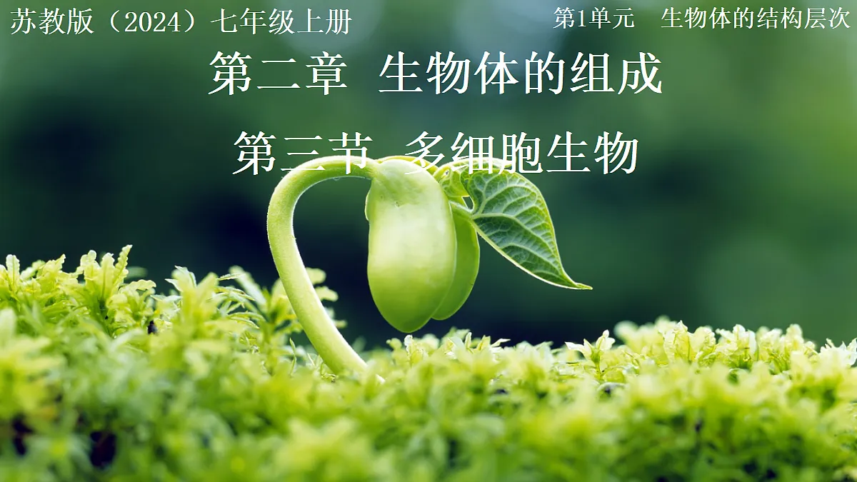 17999108第1页