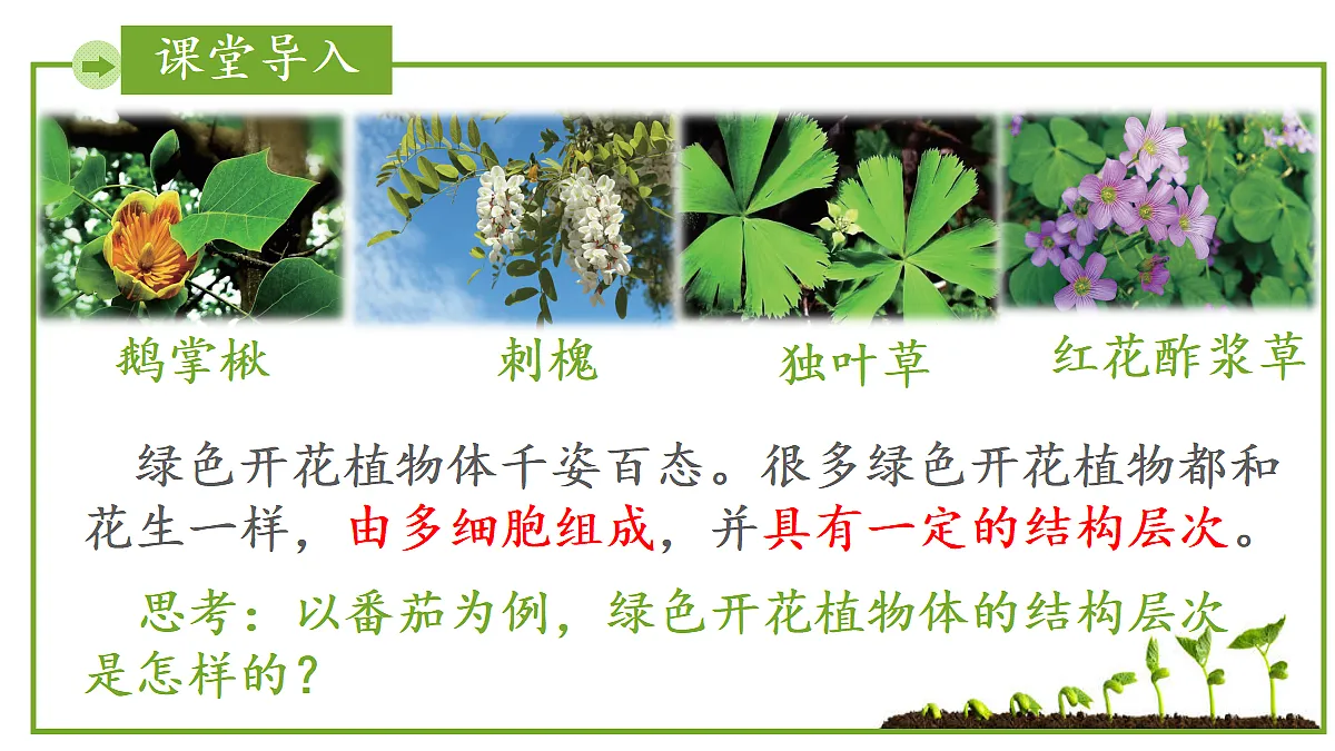 17999108第3页
