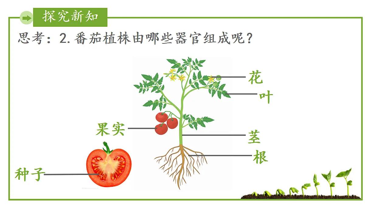 17999108第7页