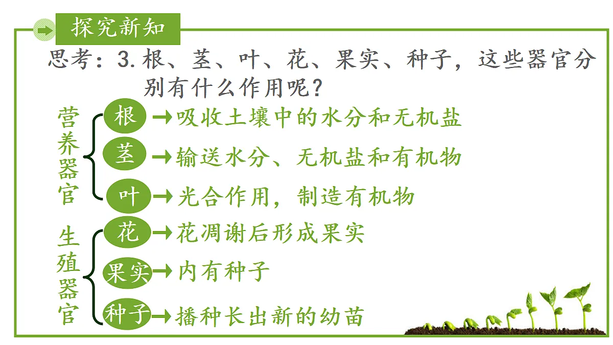 17999108第8页