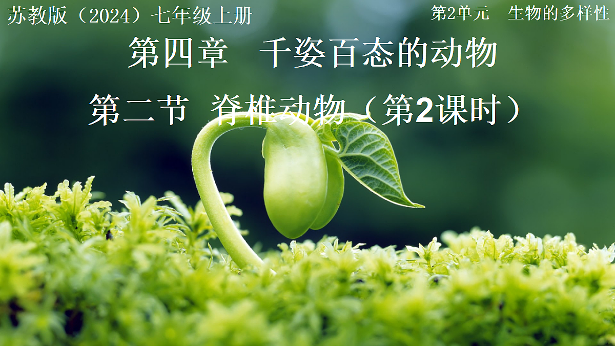 17999229第1页