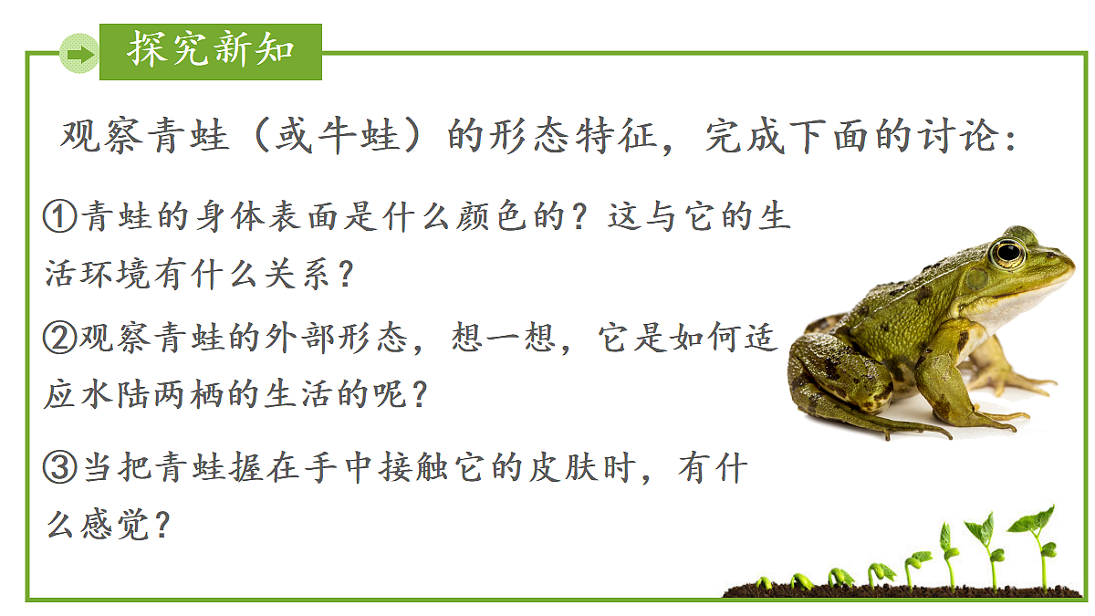 17999229第4页