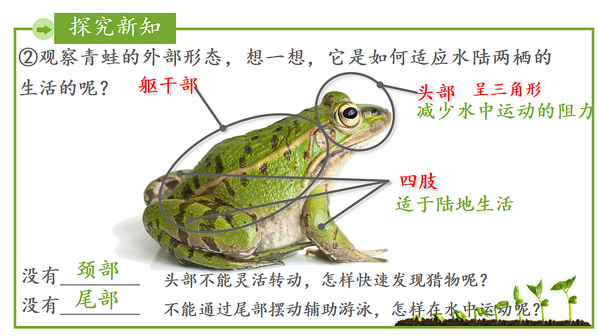 17999229第7页