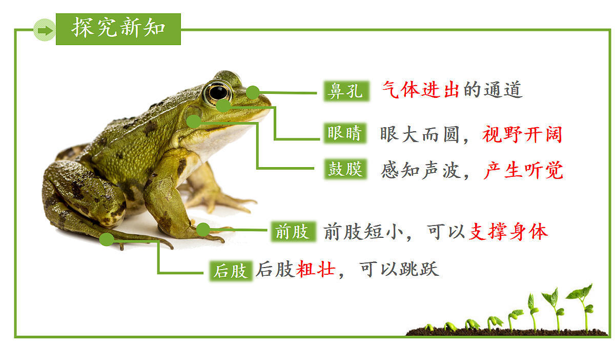 17999229第8页