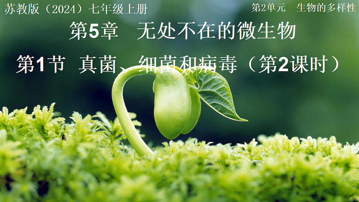 17999232第1页