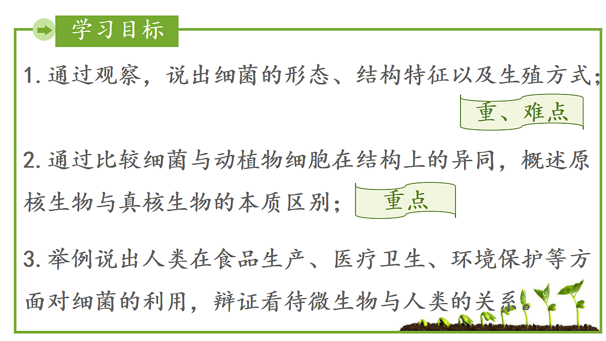 17999232第2页
