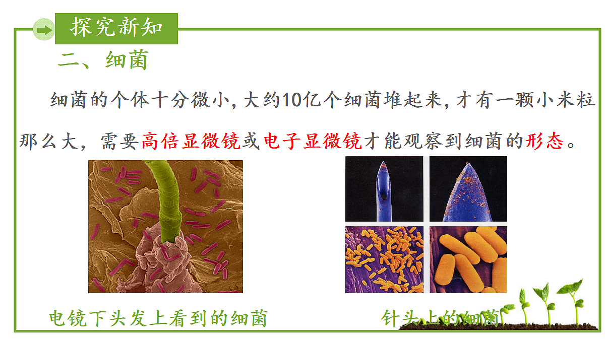 17999232第4页