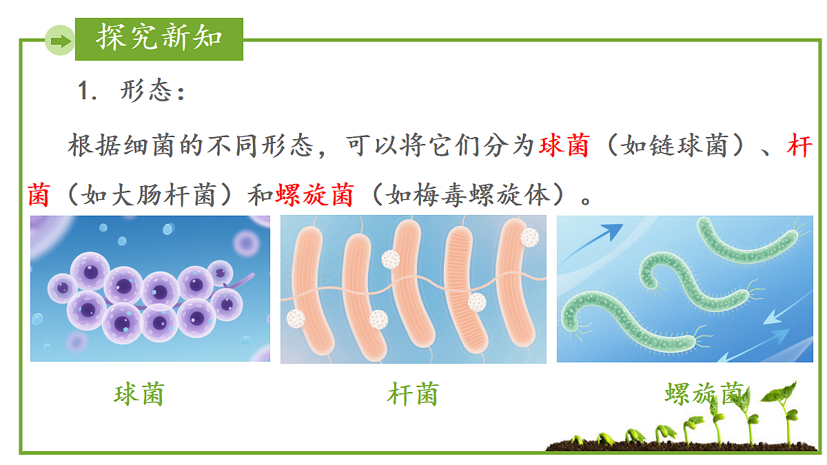 17999232第5页