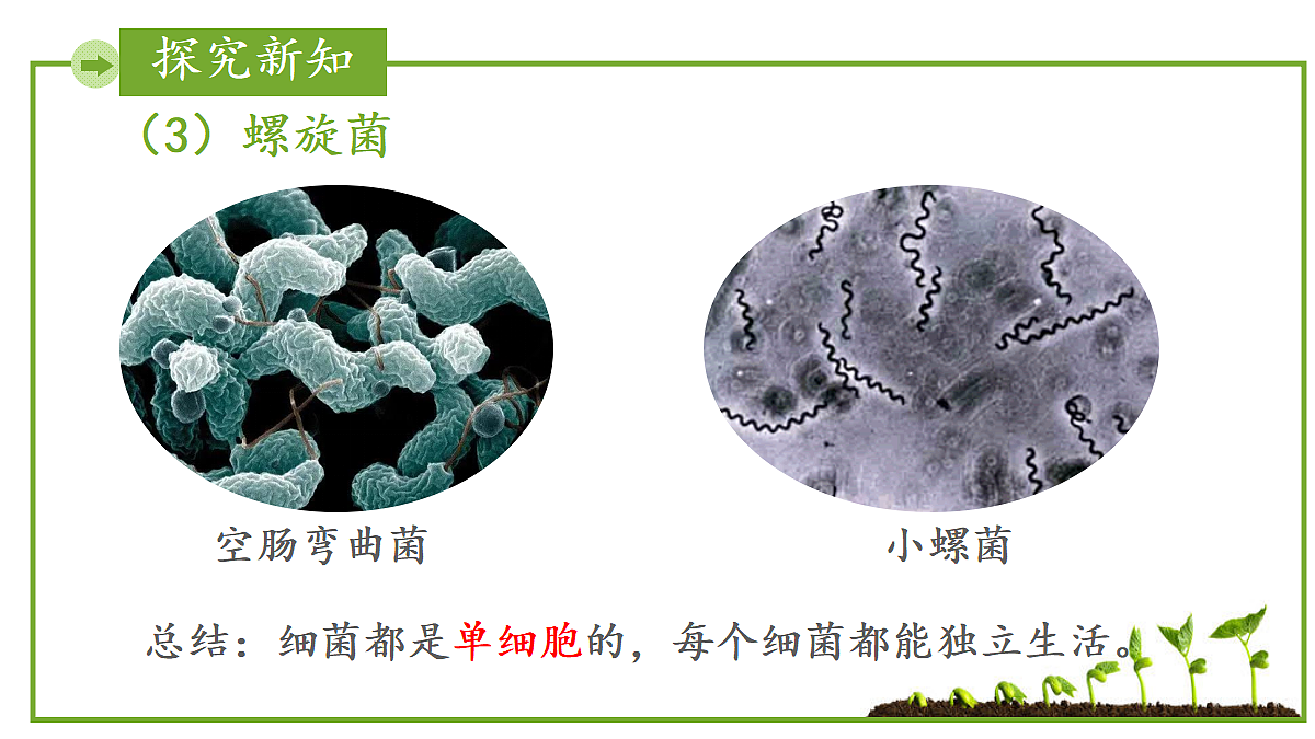 17999232第8页