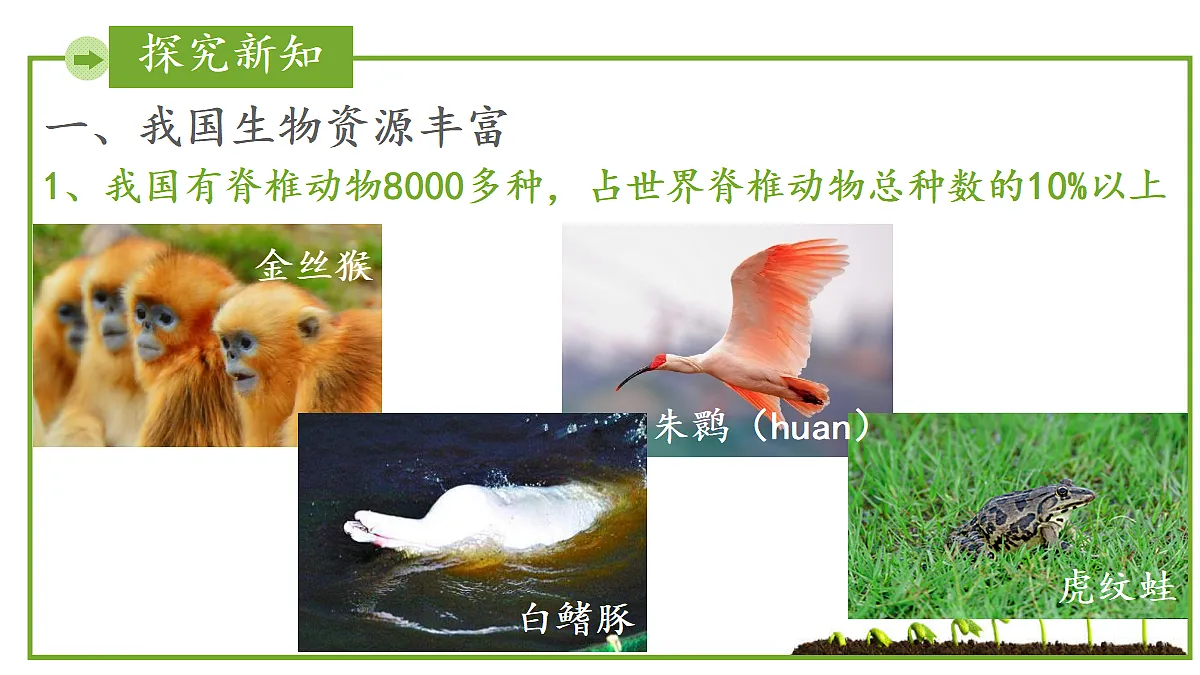 17999234第4页