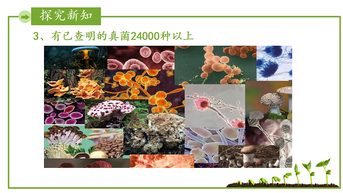 17999234第6页