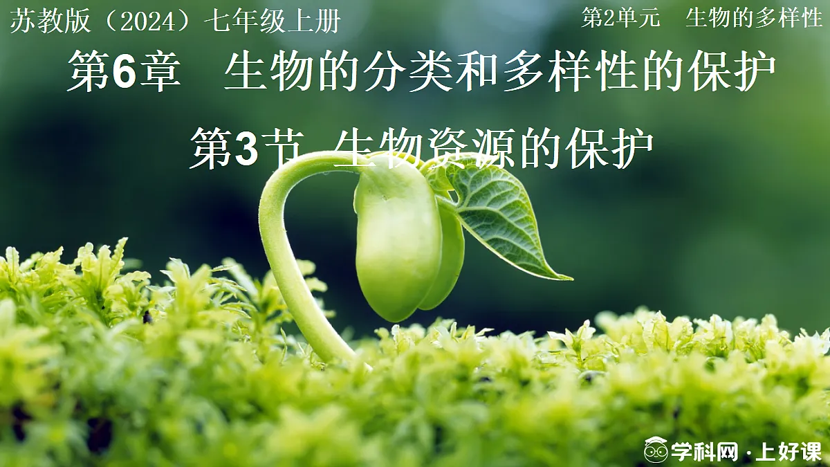 17999235第1页