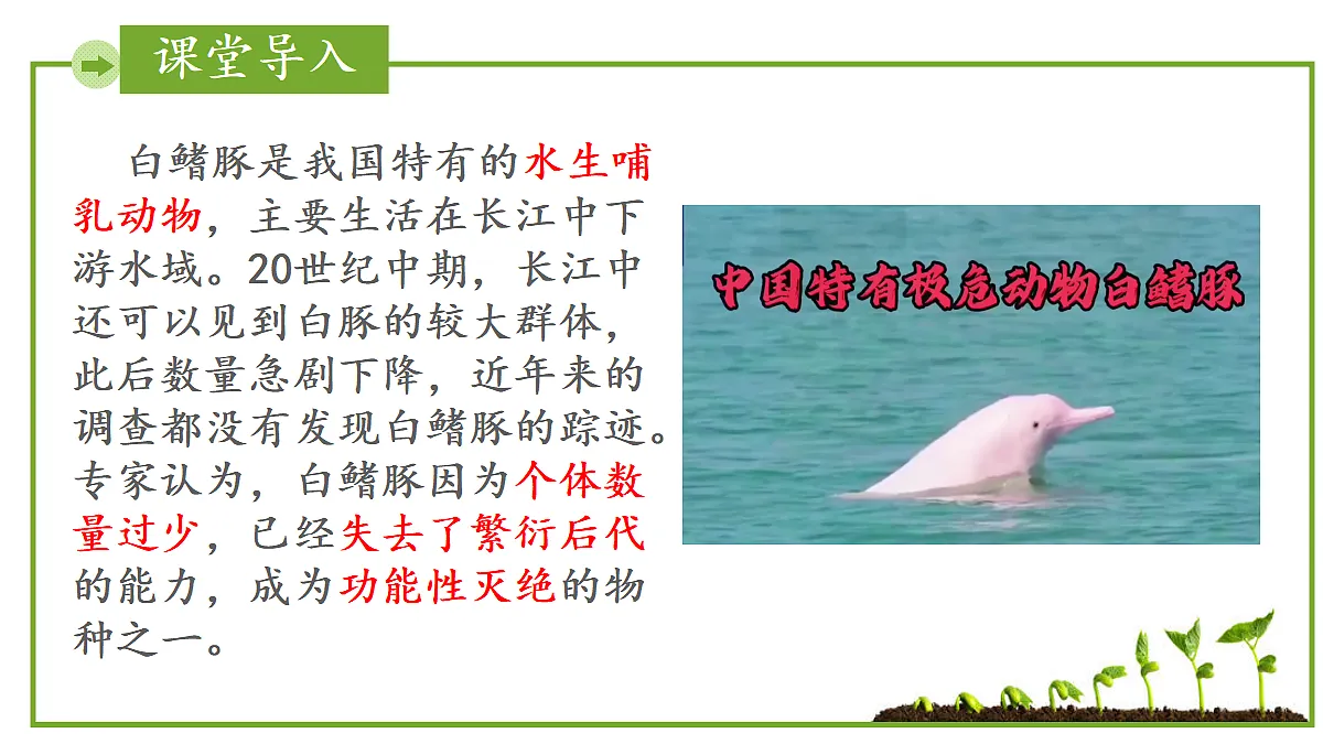 17999235第3页
