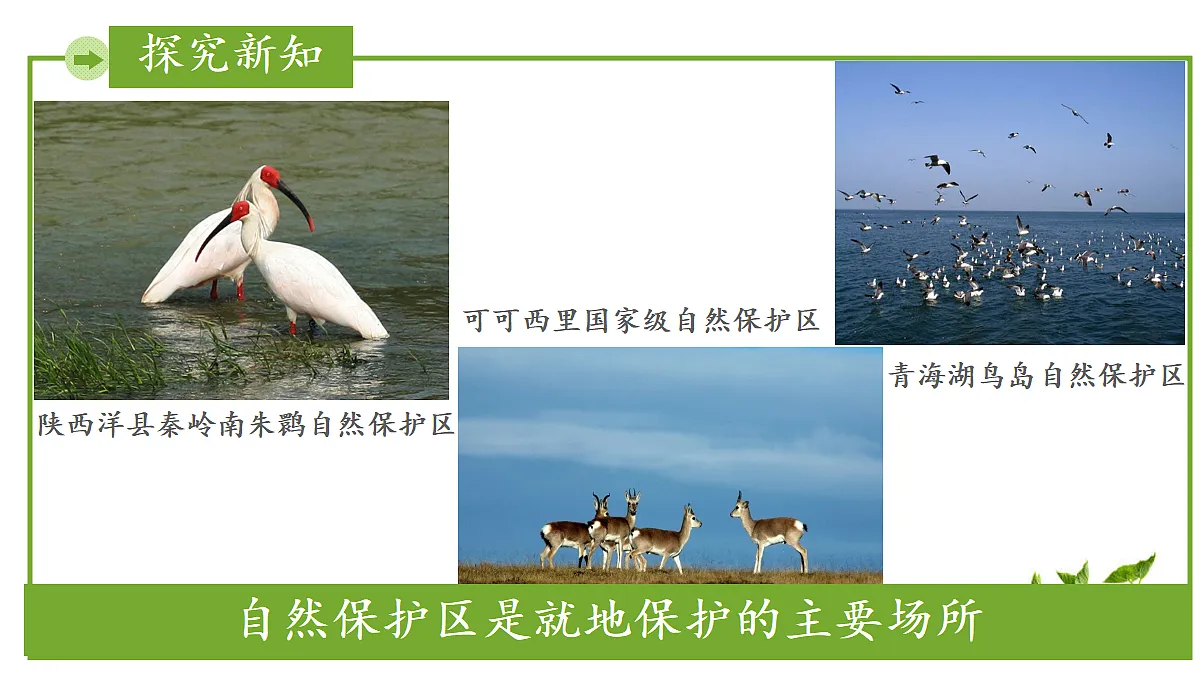 17999235第7页