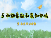 5动物接触和感知环境（课件）科学三年级下册（粤教科技版2024）