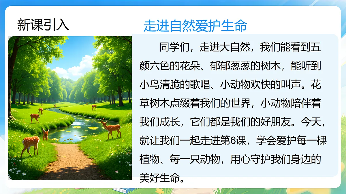17999771第6页