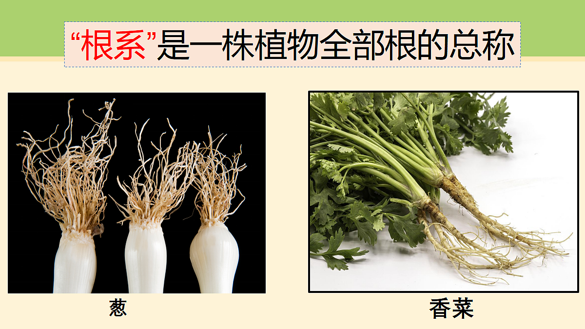 18000429第4页