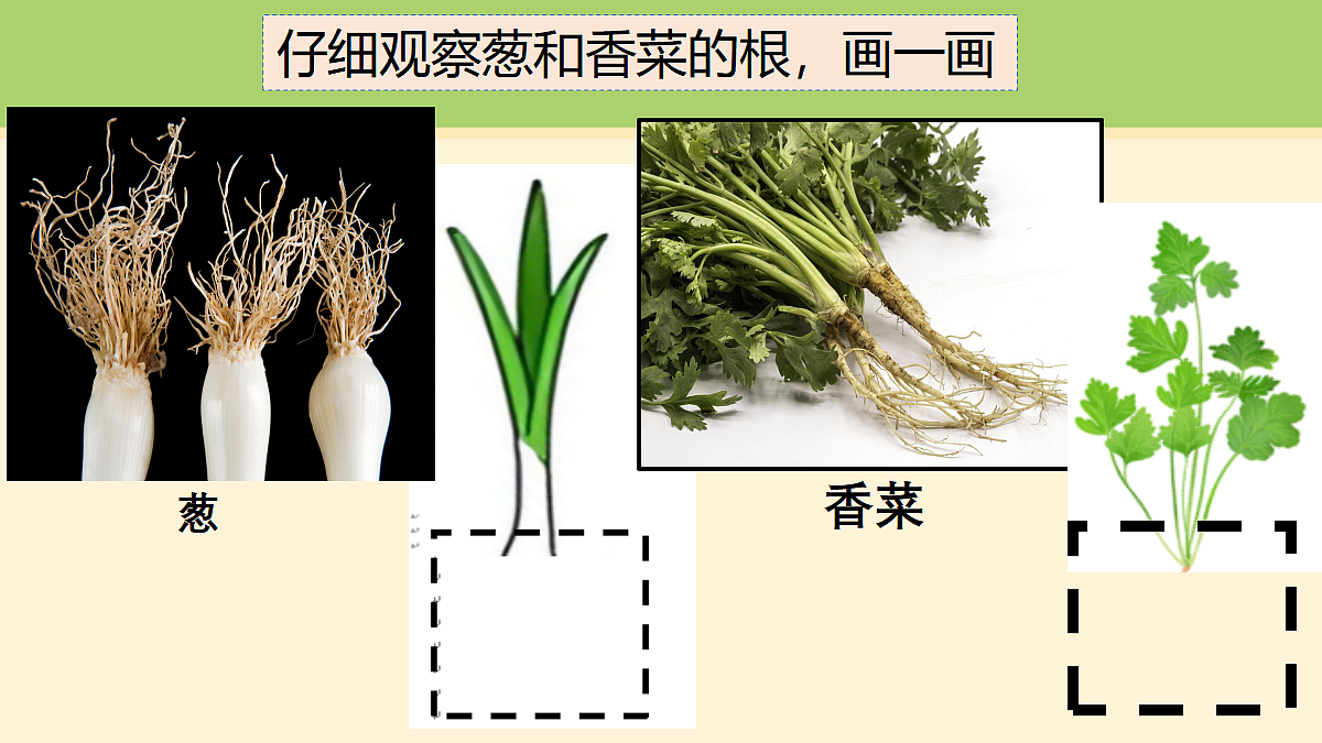 18000429第5页