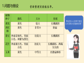 2.2.播种与萌发 课件 2025-2026学年大象版三年级科学下册
