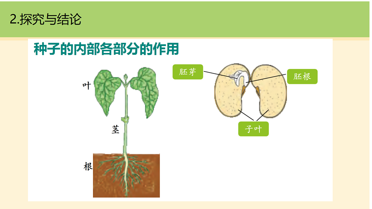 18000439第8页