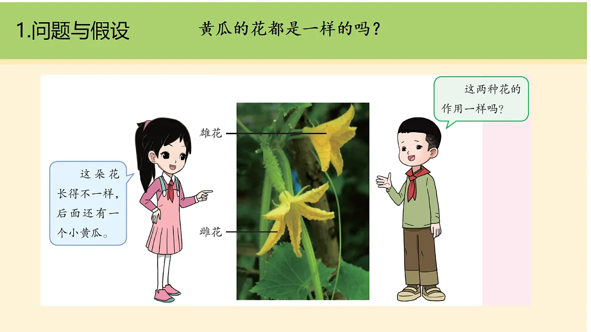 18000443第3页