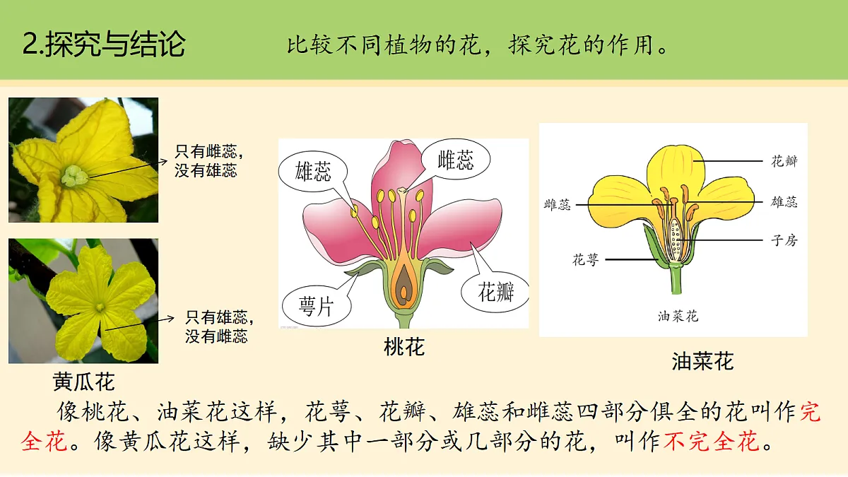 18000443第7页