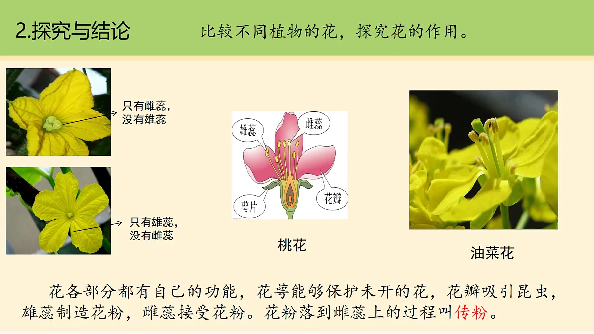 18000443第8页