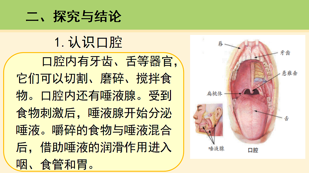 18000451第3页