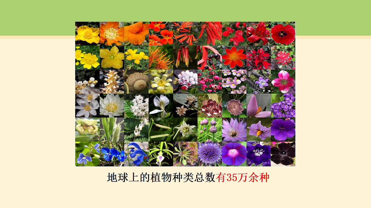 18000482第2页