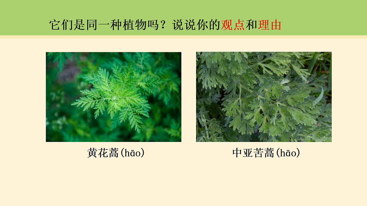 18000482第3页