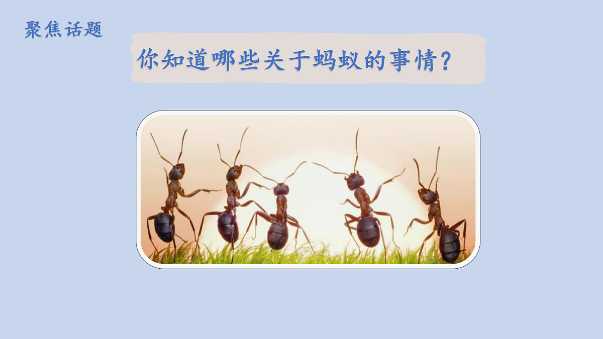 18000962第2页