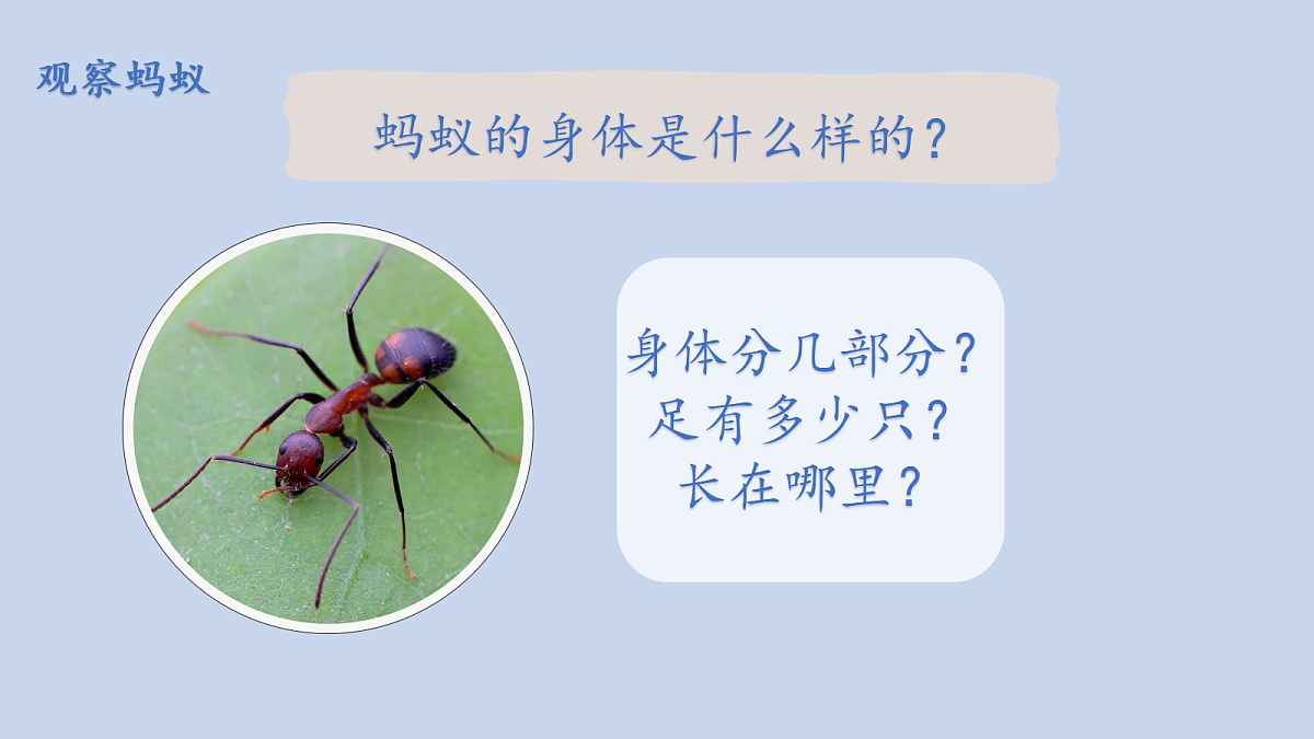 18000962第4页