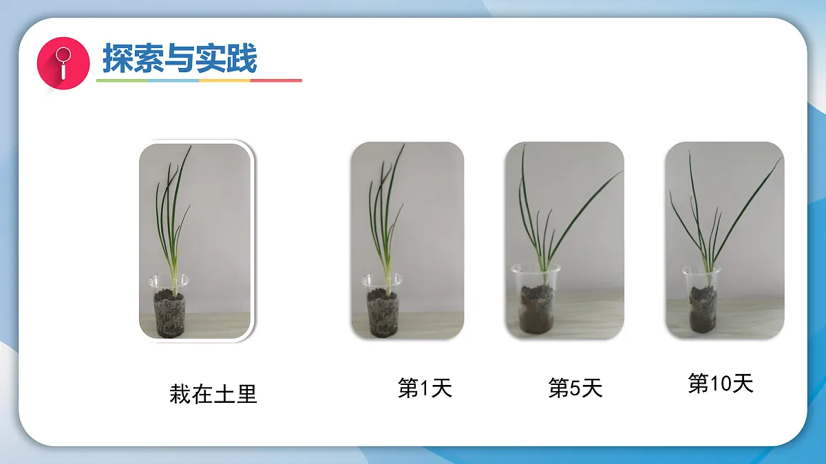 18001087第7页