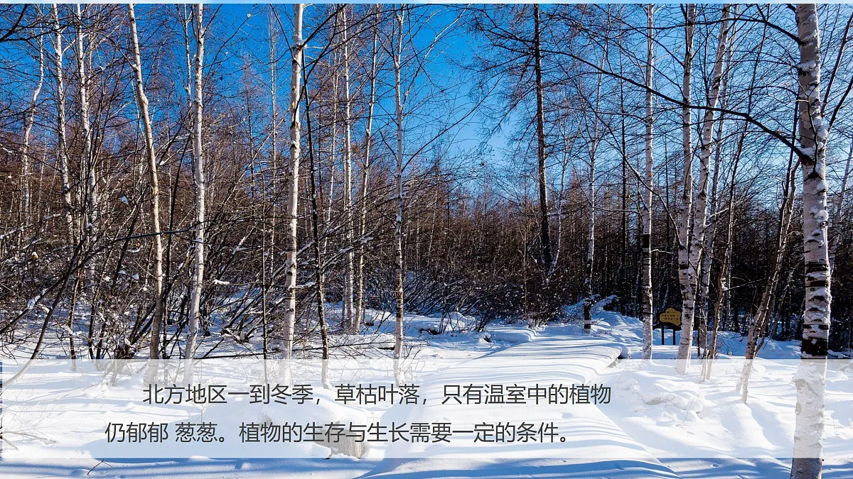 18001088第3页