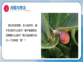 11设计蜗牛的“家”（课件）科学二年级下册（粤教科技版2024）