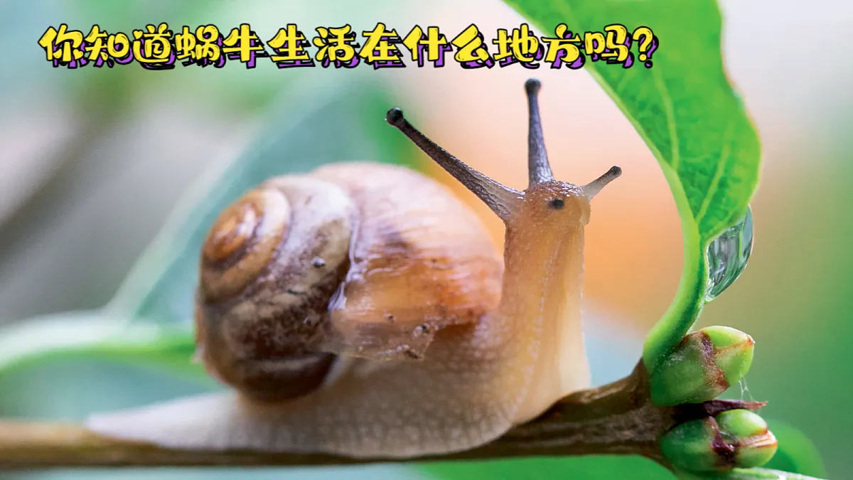 18001092第6页