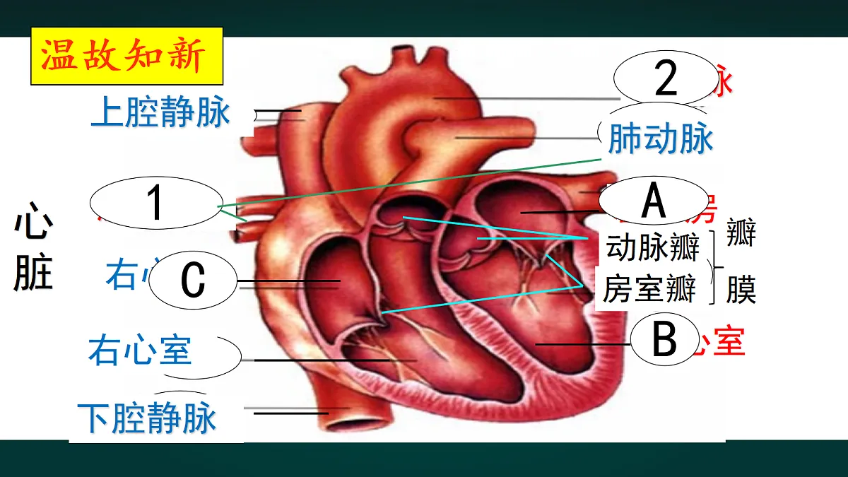 18001170第5页