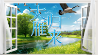 人教部编版（2024）七年级上册（2024）大雁归来/利奥波德背景图课件ppt