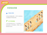 13.珍惜水资源（课件）2025-2026学年粤教粤科版三年级科学下册
