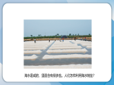 2把盐析出来（课件）科学三年级下册（人教鄂教版2024）