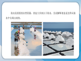 2把盐析出来（课件）科学三年级下册（人教鄂教版2024）