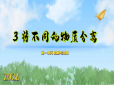 3将不同的物质分离（课件）科学三年级下册（人教鄂教版2024）