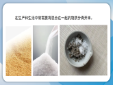 3将不同的物质分离（课件）科学三年级下册（人教鄂教版2024）