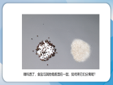 3将不同的物质分离（课件）科学三年级下册（人教鄂教版2024）