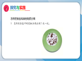 3将不同的物质分离（课件）科学三年级下册（人教鄂教版2024）
