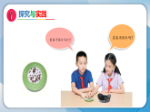 3将不同的物质分离（课件）科学三年级下册（人教鄂教版2024）