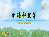 4播种发芽（课件）科学三年级下册（人教鄂教版2024）