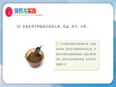 4播种发芽（课件）科学三年级下册（人教鄂教版2024）